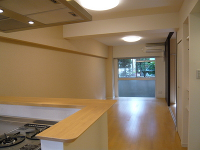 Living and room. Room 2