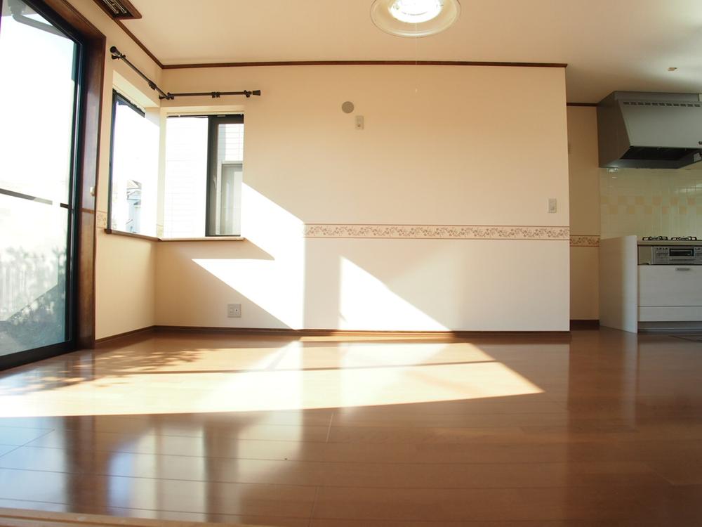 Living. Indoor (2013 11 late) shooting