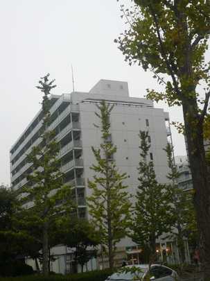 Local appearance photo. appearance