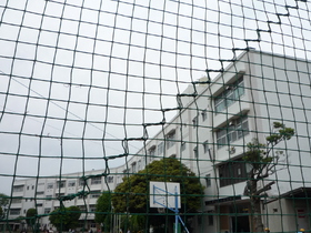 Primary school. Chickadees 700m up to elementary school (elementary school)