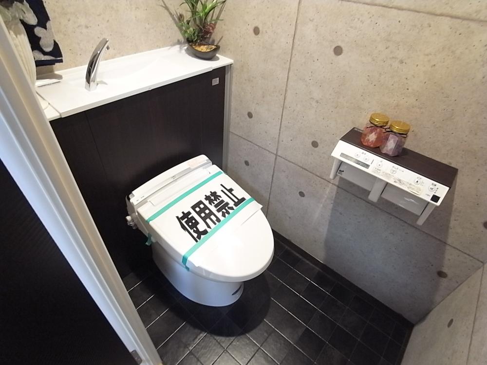 Toilet. Popular tankless toilet.