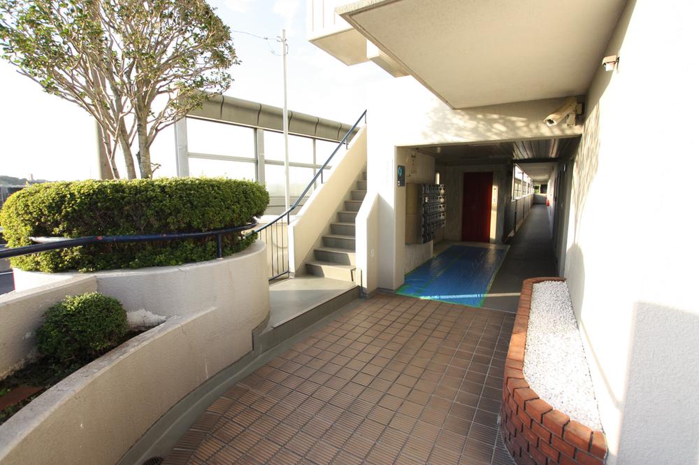 Other local. Good view