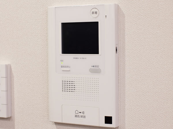 Security. Intercom with color monitor