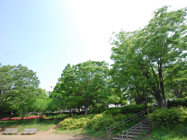 Surrounding environment. Shinano central park (a 1-minute walk / About 50m)