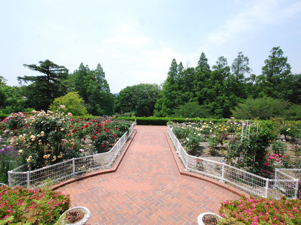 Surrounding environment. Yokohama Children Botanical Garden (walk 23 minutes / About 1800m)