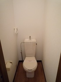 Toilet. Separate toilet