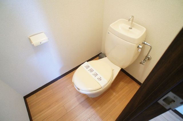 Toilet. Simple toilet