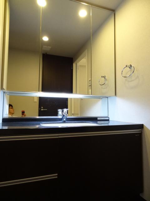 Wash basin, toilet. Bathroom vanity