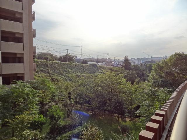 View photos from the dwelling unit. View from the dwelling unit