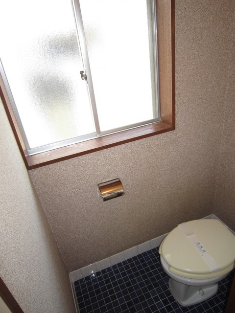 Toilet. Bright with a window