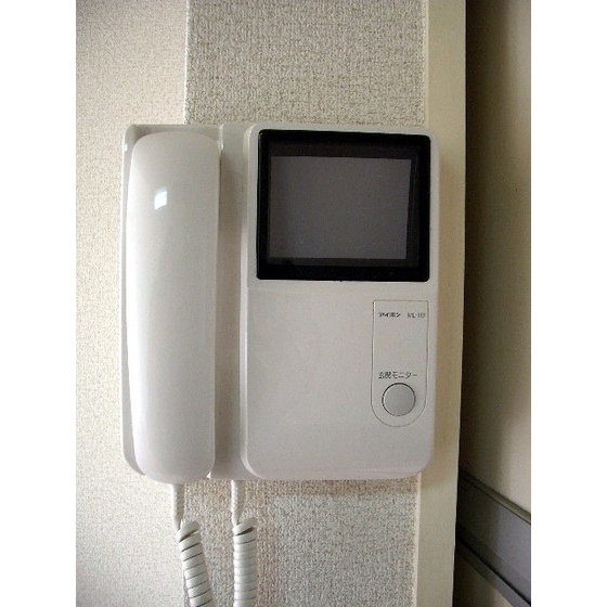 Security. Monitor with intercom