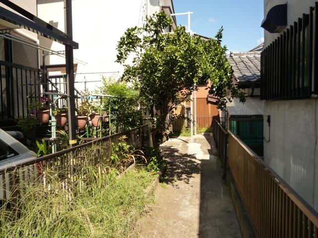 Local land photo. Local (08 May 2012) shooting Passage part per yang also good, Also available in such as home garden.
