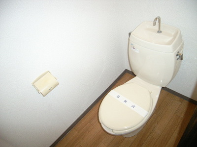 Toilet. toilet 102, Room photo