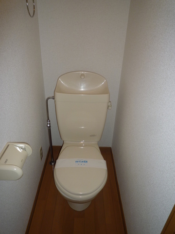 Toilet. Toilet