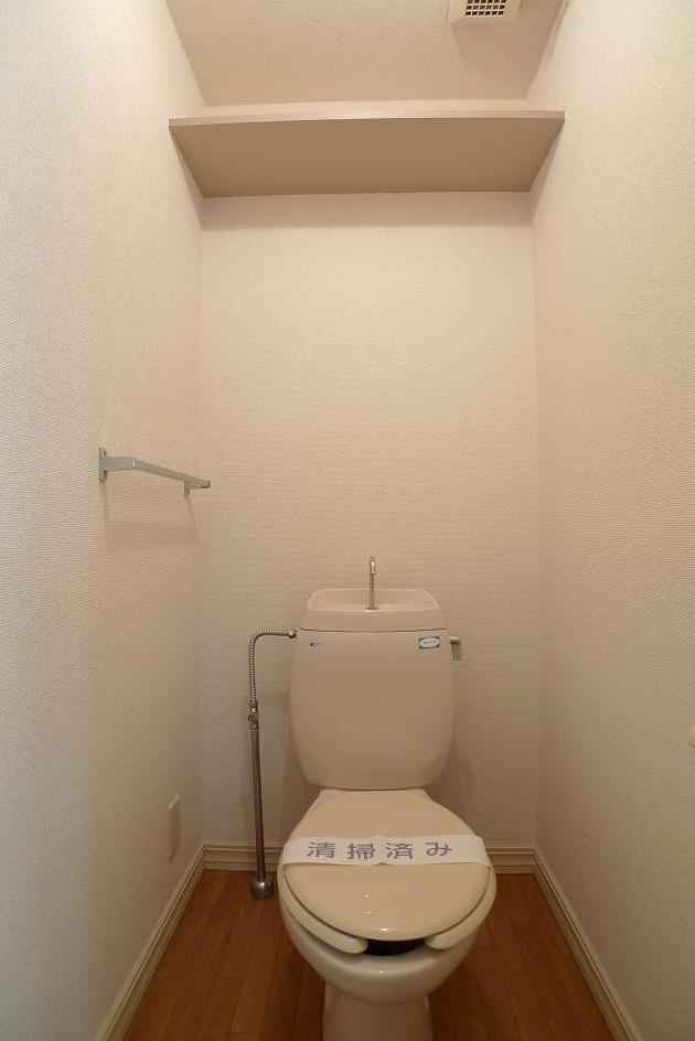 Toilet. It is convenient there is a shelf at the top