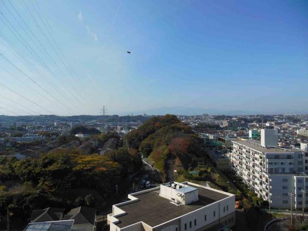 View photos from the dwelling unit