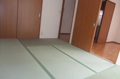 Other room space. Tatami mat sort already