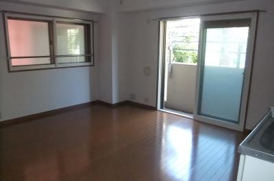 Living and room. Living