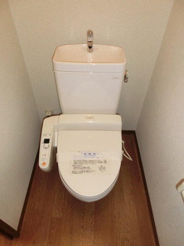 Toilet. Warm water washing toilet seat