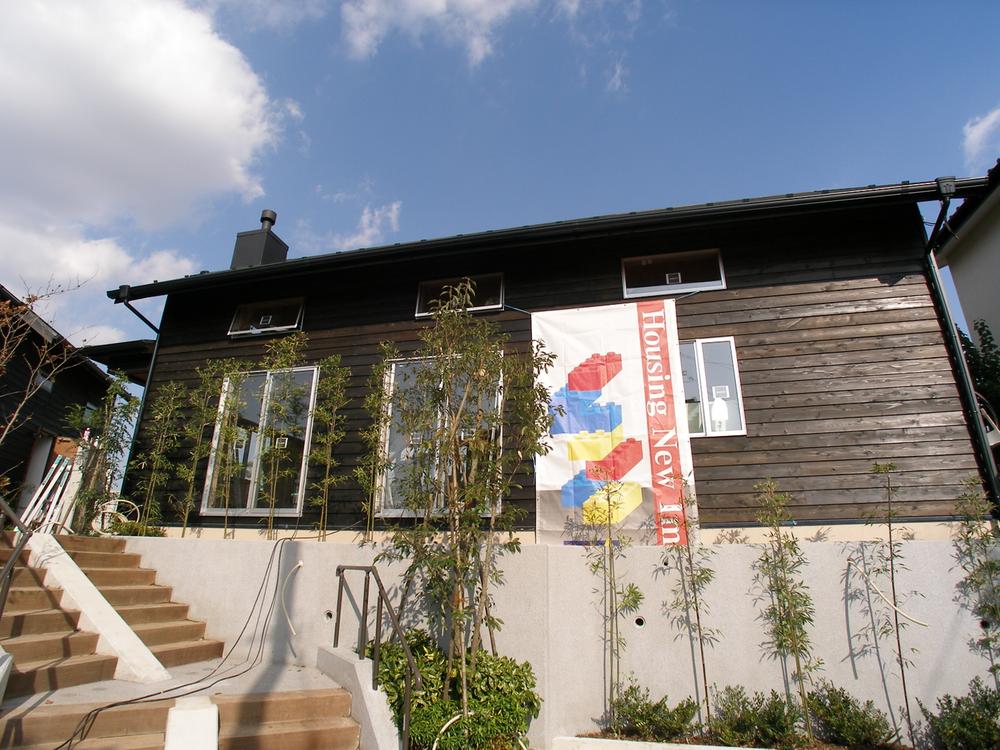 Local appearance photo. This impressive appearance! And slope of the roof, Stuck in chimney! 