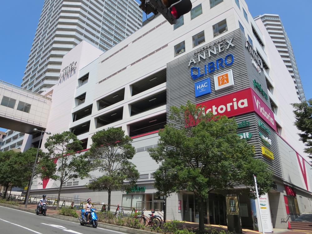 Other. Neighborhood environment