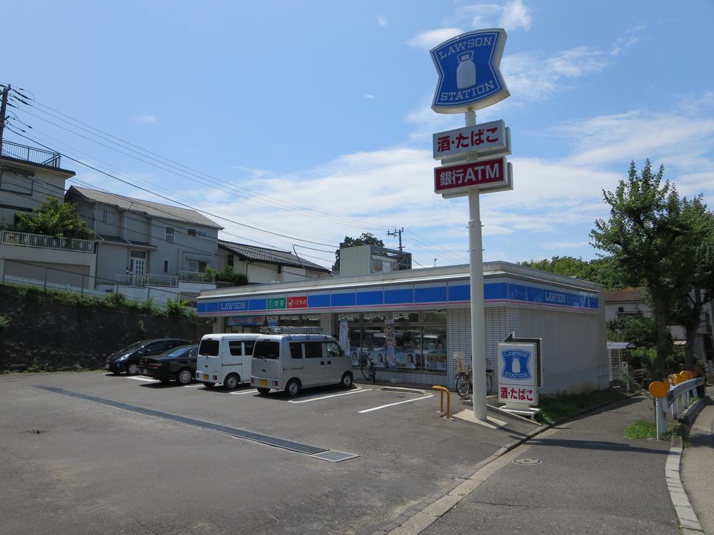 Other. Neighborhood environment