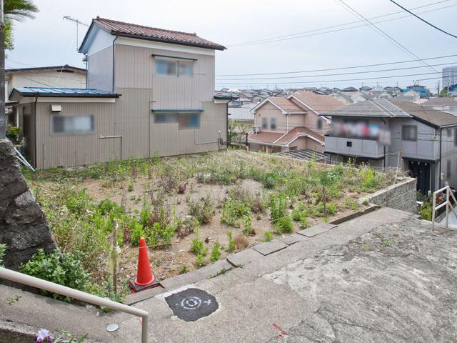 Other local. Local Photos