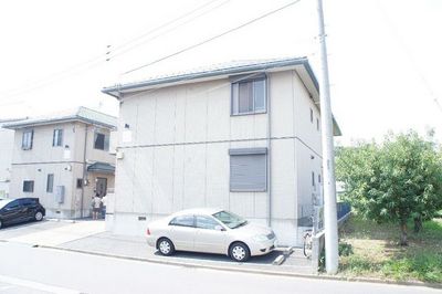 Building appearance. Shamezon housing