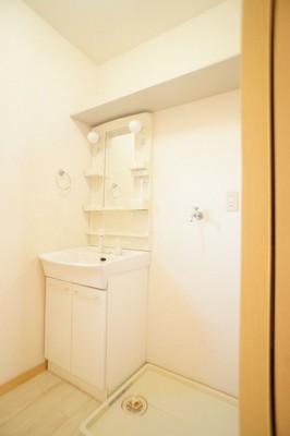 Washroom. Convenient shampoo basin with vanity in a busy morning