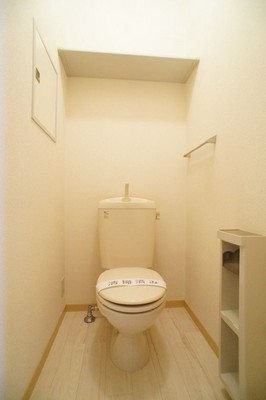 Toilet. Toilet with cleanliness