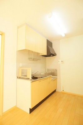 Kitchen. You can gas stove installation