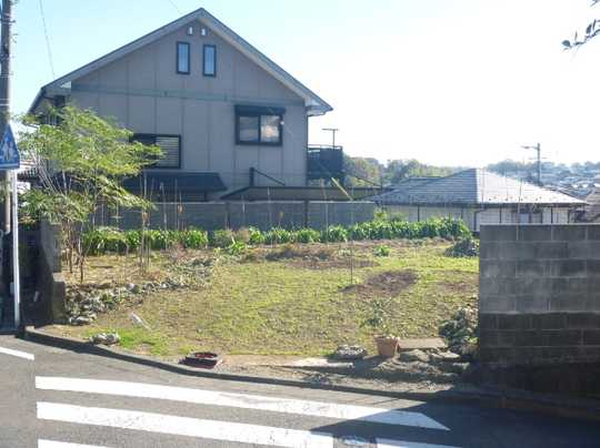 Local land photo. Site panoramic view