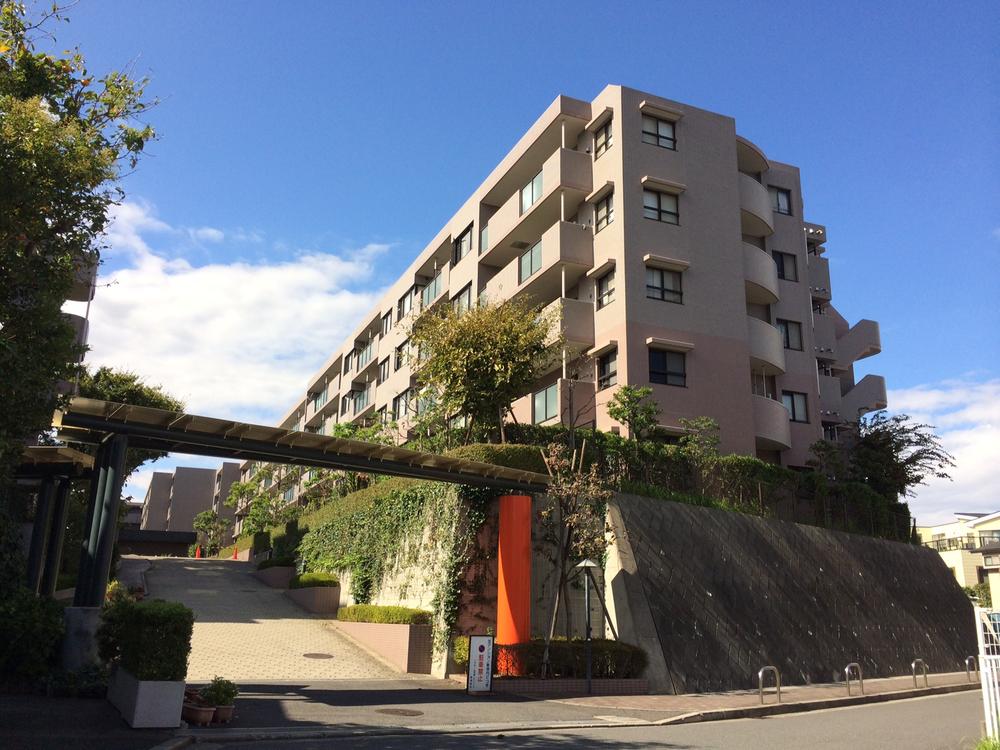 Local appearance photo. Local (10 May 2013) Shooting