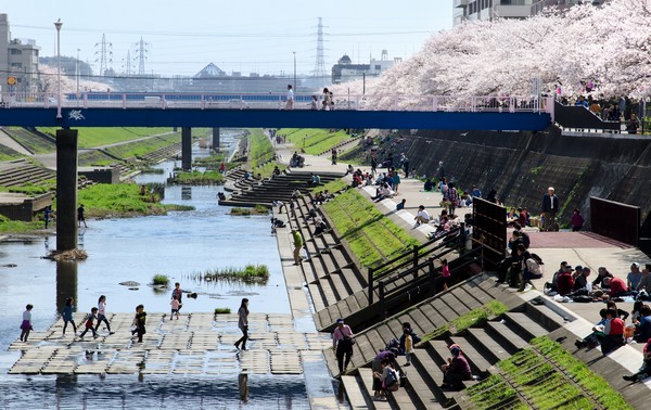 3-minute walk from the local (about 170m) kashio river. Riverside that has been colored by cherry trees is known as the attractions of the cherry-blossom viewing, Summer can also enjoy playing in the water
