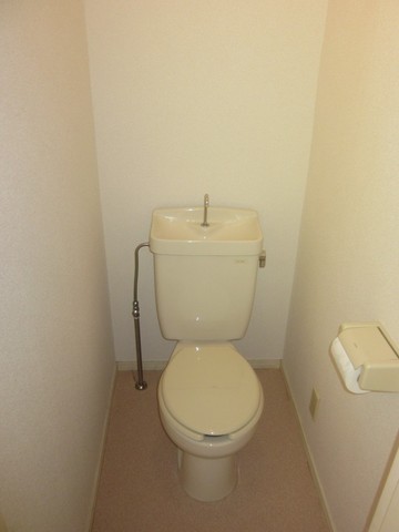 Toilet. Warm water washing toilet seat installation Allowed