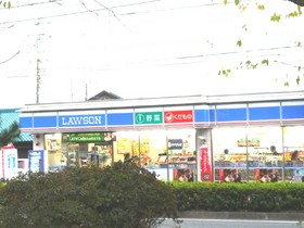 Convenience store. 300m until Lawson (convenience store)