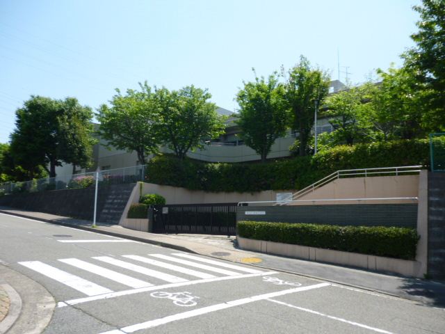 Junior high school. Municipal Ryoke until junior high school (junior high school) 1600m