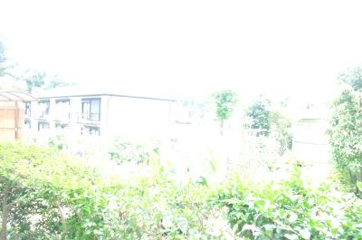 Balcony. Veranda