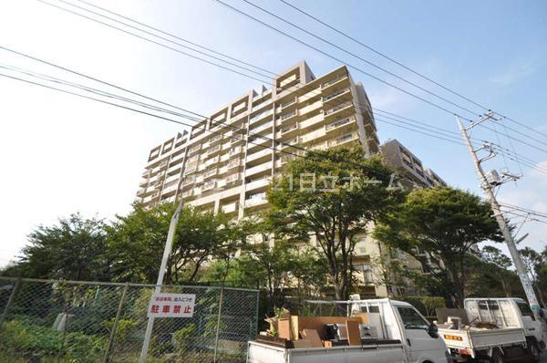 Local appearance photo. local