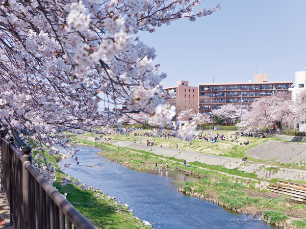 Surrounding environment. Kashio river (about 420m ・ Oasis with a river bed that was 6 minutes) spacious walk. Spring is magnificent cherry blossoms.