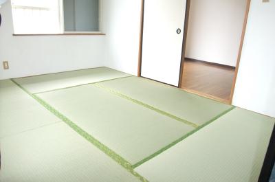 Other room space. Tatami mat is already sorting