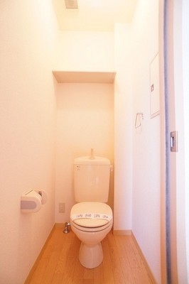 Toilet. Toilet with cleanliness