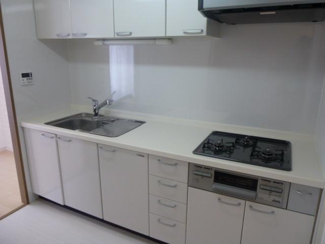 Kitchen. Convenient 2WAY kitchen