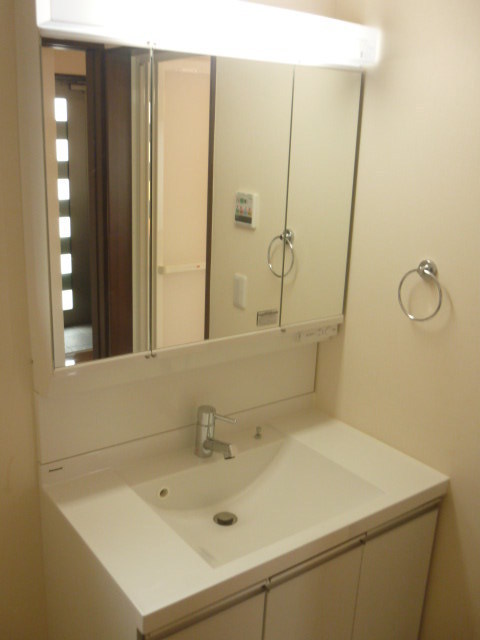 Washroom. Bathroom vanity