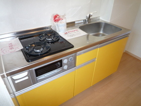 Kitchen. Recommended system kitchen for lovers of cuisine