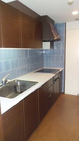Kitchen. IH is a system kitchen with stove