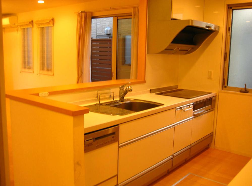 Kitchen. Indoor (December 2013 shooting)