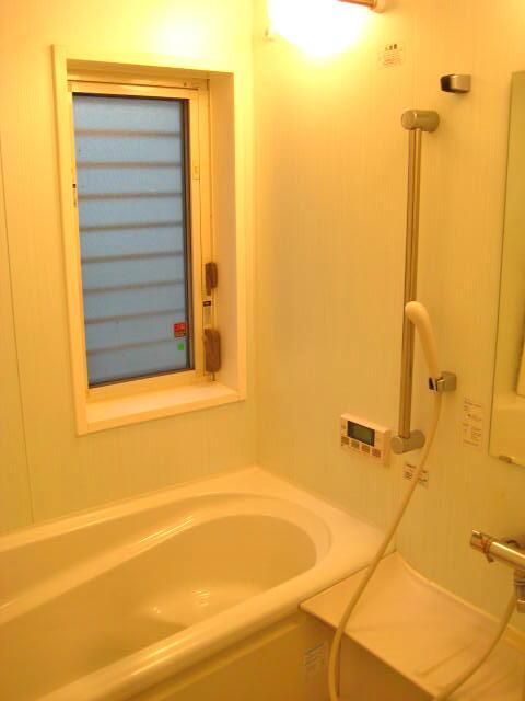 Bathroom. Indoor (December 2013 shooting)