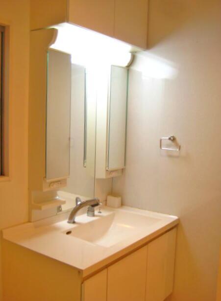 Wash basin, toilet. Indoor (December 2013 shooting)