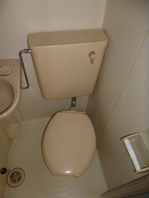 Toilet. Toilet space.